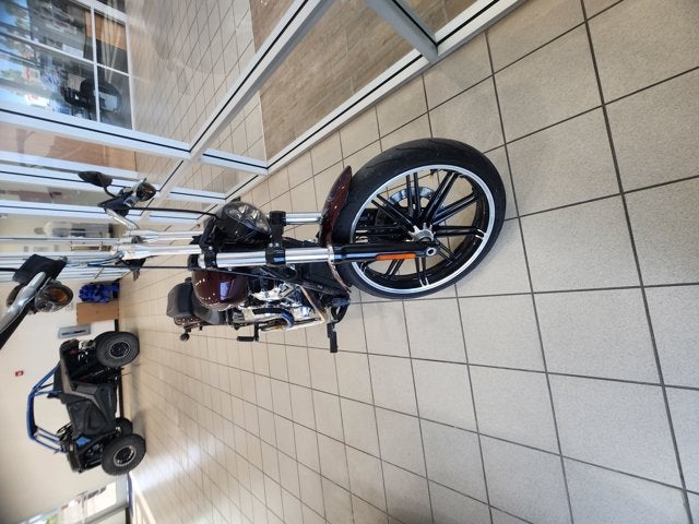 2018 HARLEY DAVIDSON SOFTAIL BREAK OUT Base