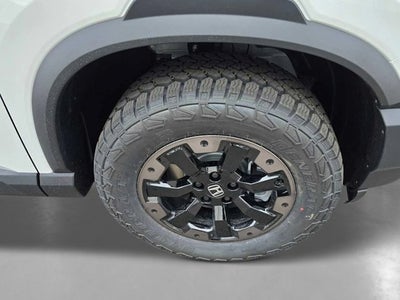 2026 Honda Passport TRAILSPRTE