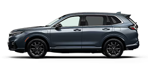 Yuma Honda in Yuma AZ